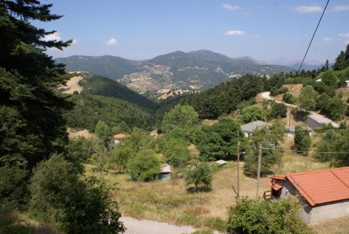 SONY DSC