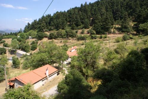 SONY DSC