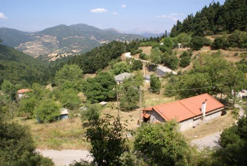 SONY DSC