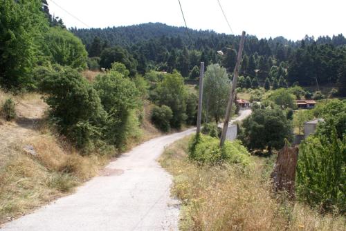 SONY DSC