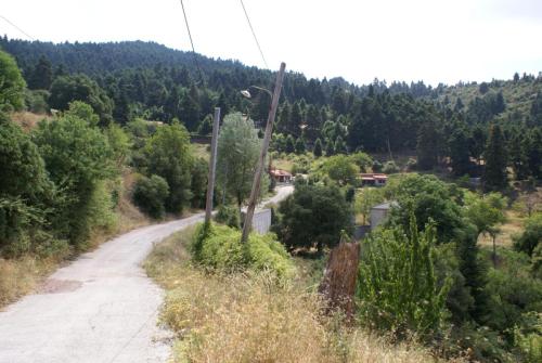SONY DSC