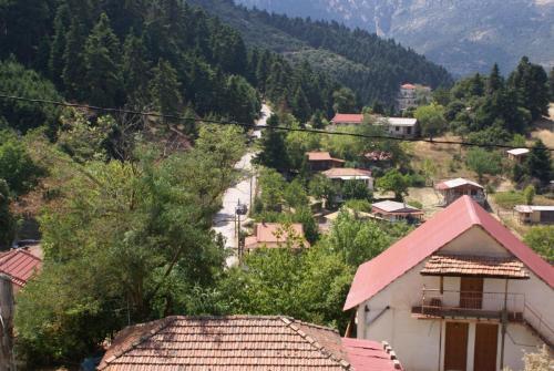 SONY DSC