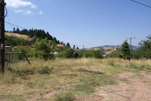 SONY DSC