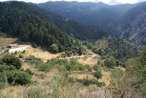 SONY DSC