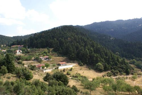 SONY DSC