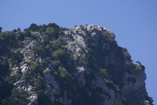 SONY DSC