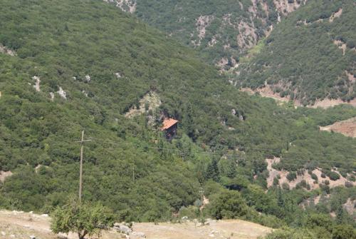 SONY DSC