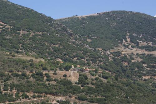 SONY DSC